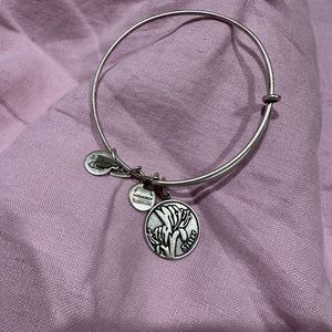 Alex and Ani - Sister Charm Bangle (adjustable)